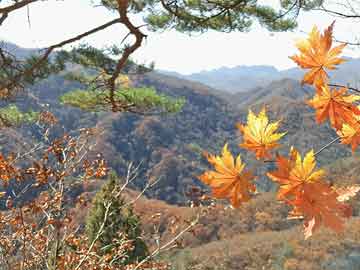 江阴富豪排行榜（江阴富豪榜前100名）